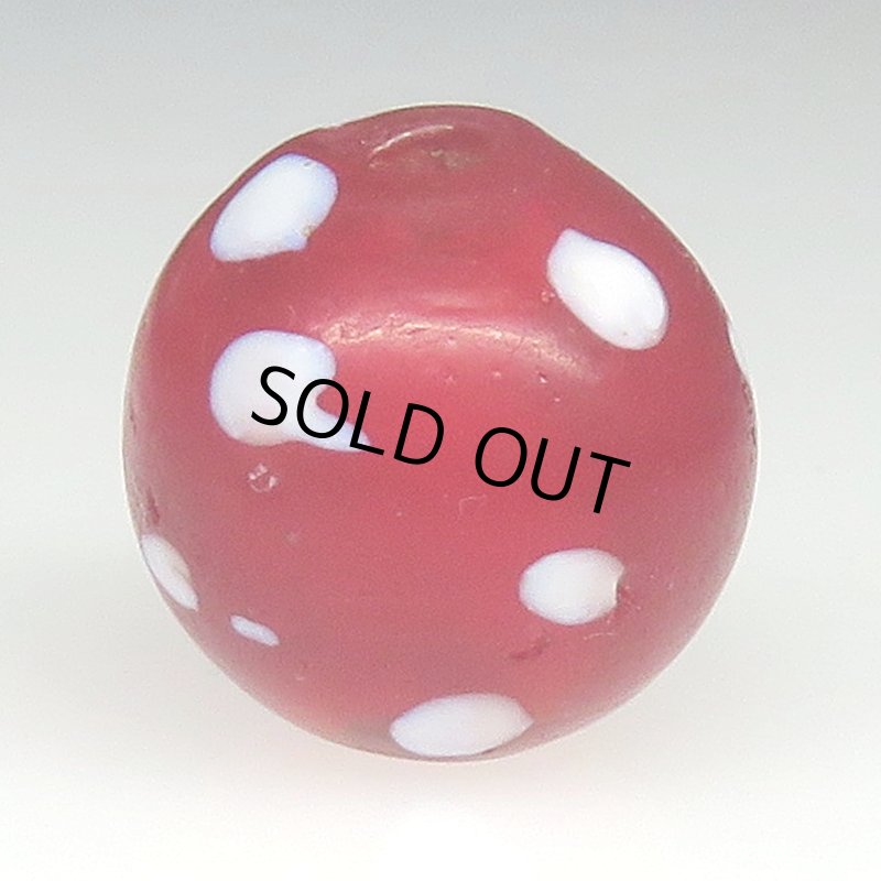 画像2: 美濃赤のレッドスカンク (2)