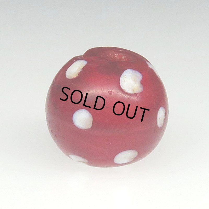 画像1: 濃赤のレッドスカンク (1)