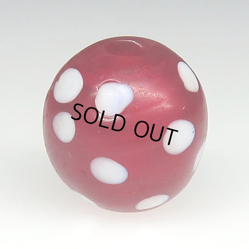 画像2: 美濃赤のレッドスカンク (2)