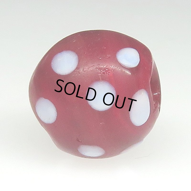 画像3: 美血赤のレッドスカンク (3)