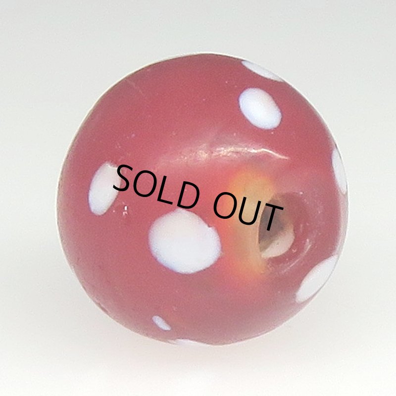 画像4: 美濃赤のレッドスカンク (4)