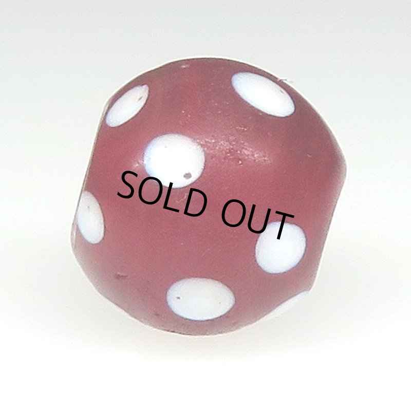 画像3: 美血赤のレッドスカンク (3)