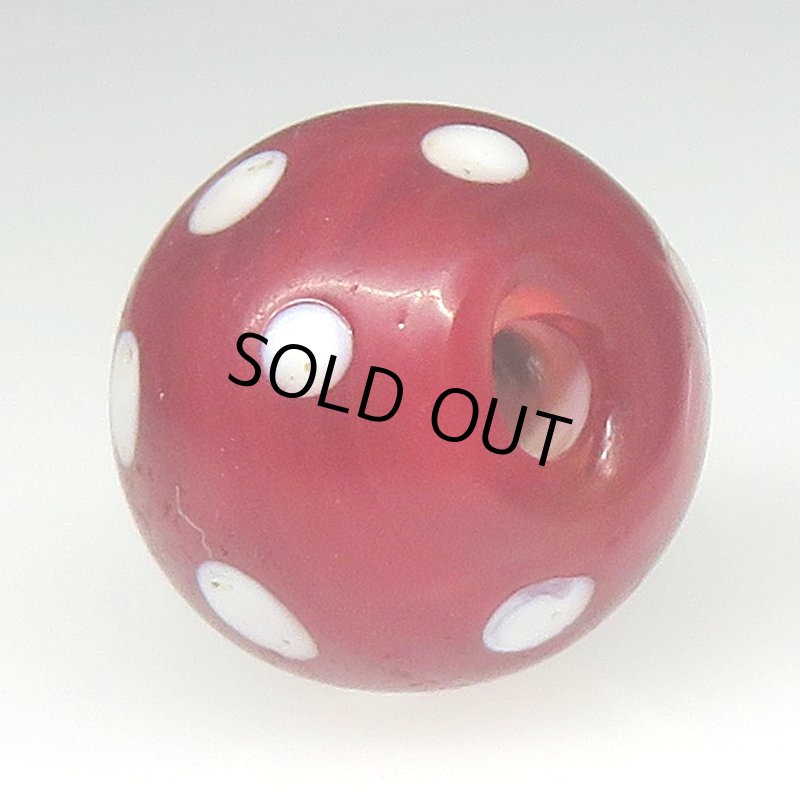 画像4: 美濃赤のレッドスカンク (4)