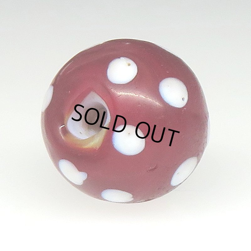 画像4: 美血赤のレッドスカンク (4)