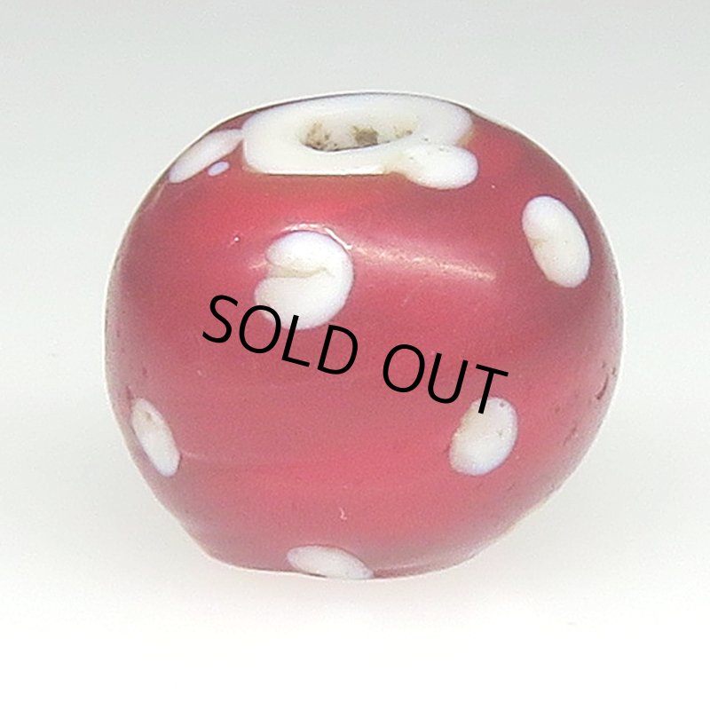 画像2: 濃赤のレッドスカンク (2)