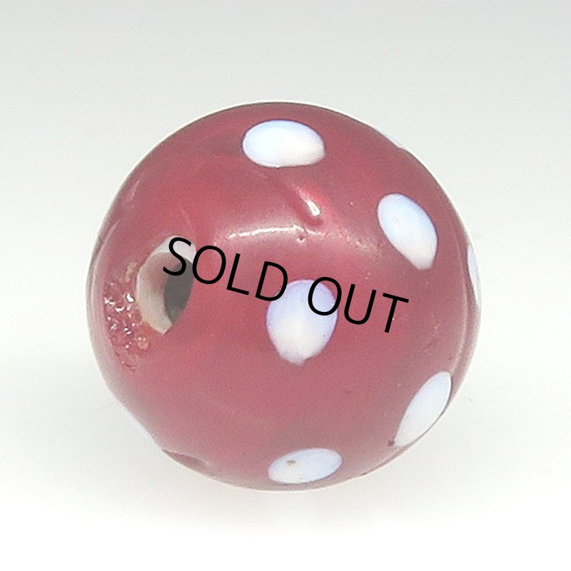 画像4: 美血赤のレッドスカンク (4)