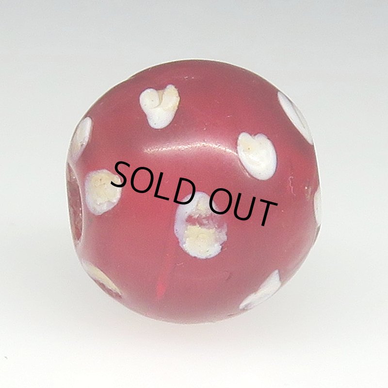 画像3: 濃赤のレッドスカンク (3)