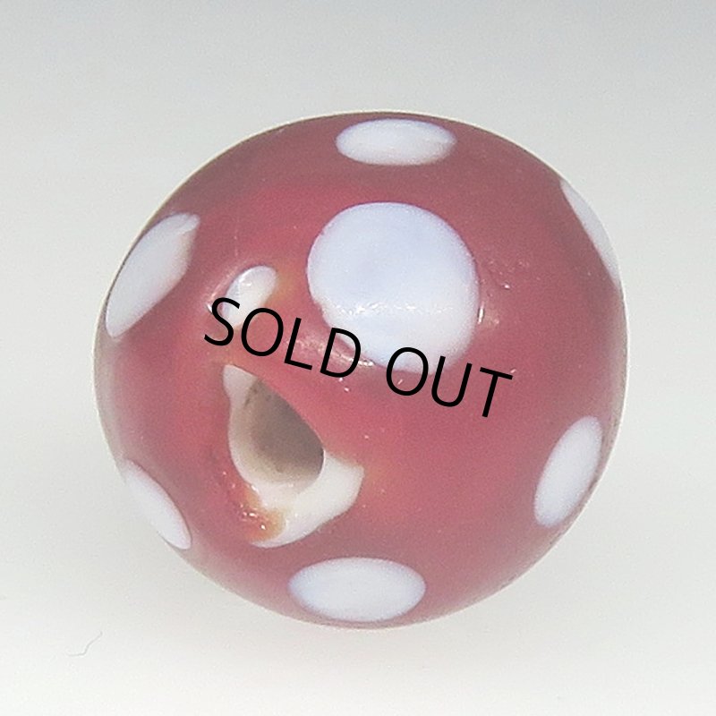 画像4: 美血赤のレッドスカンク (4)