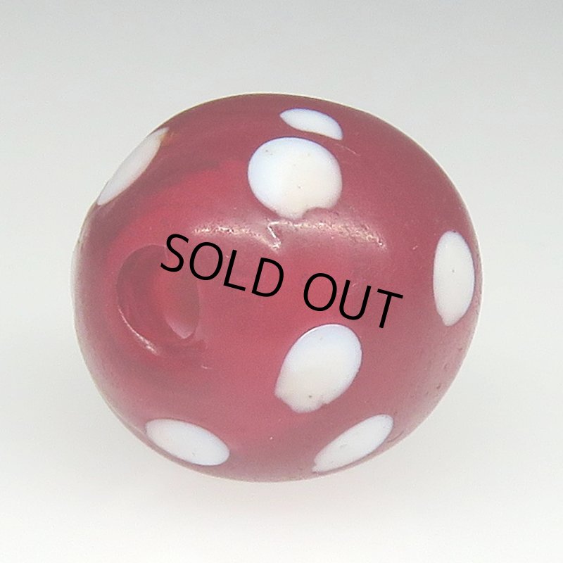 画像4: 美濃赤のレッドスカンク (4)