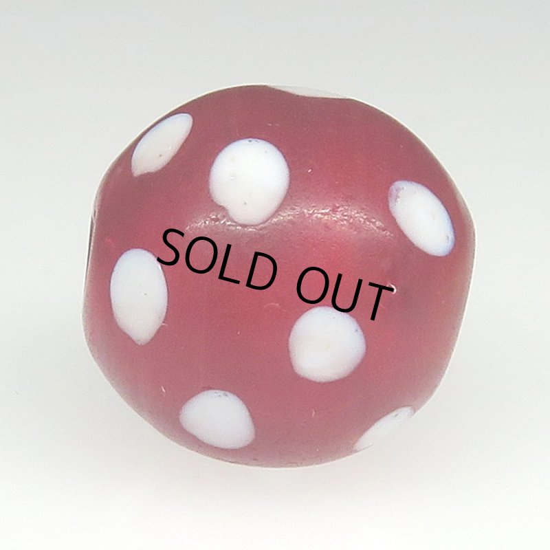 画像3: 美濃赤のレッドスカンク (3)