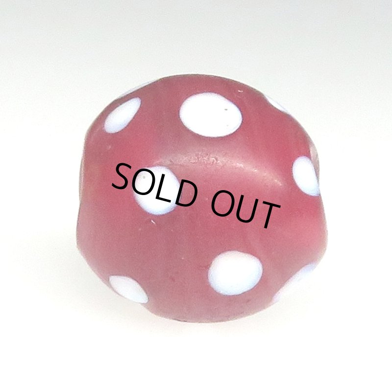 画像3: 美血赤のレッドスカンク (3)