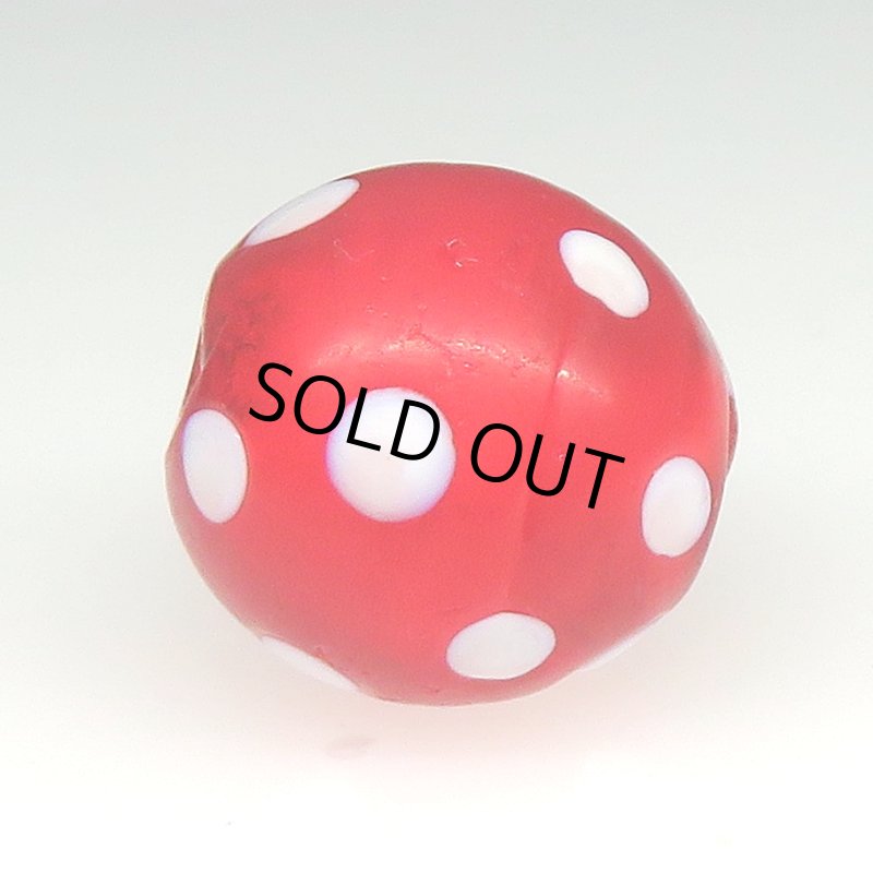 画像3: 美レッドスカンク (3)