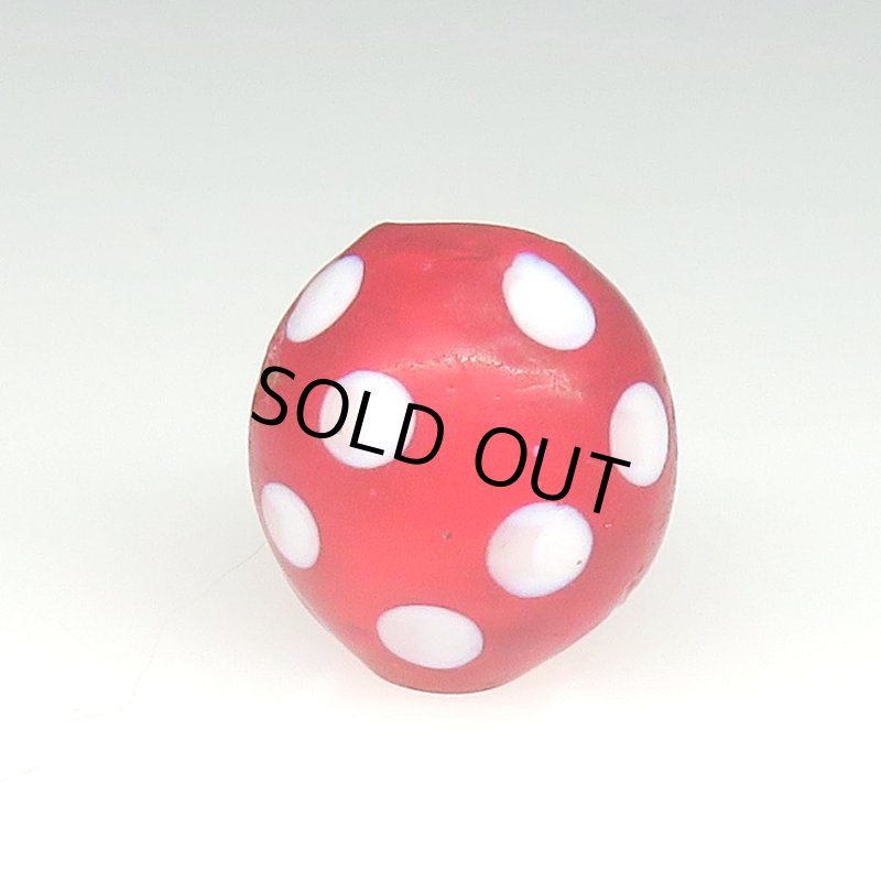 画像1: レッドスカンク (1)