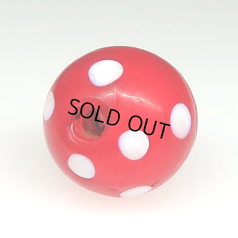 画像4: 美レッドスカンク (4)