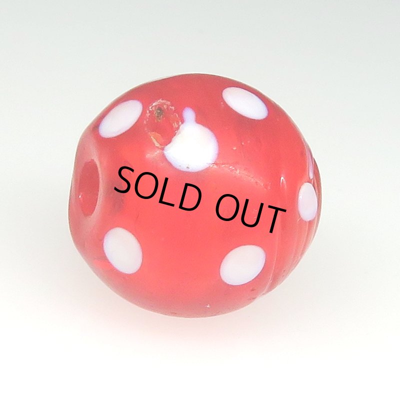 画像3: レッドスカンク (3)