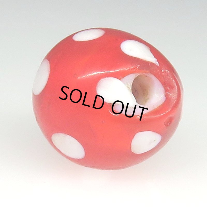 画像4: 美レッドスカンク (4)