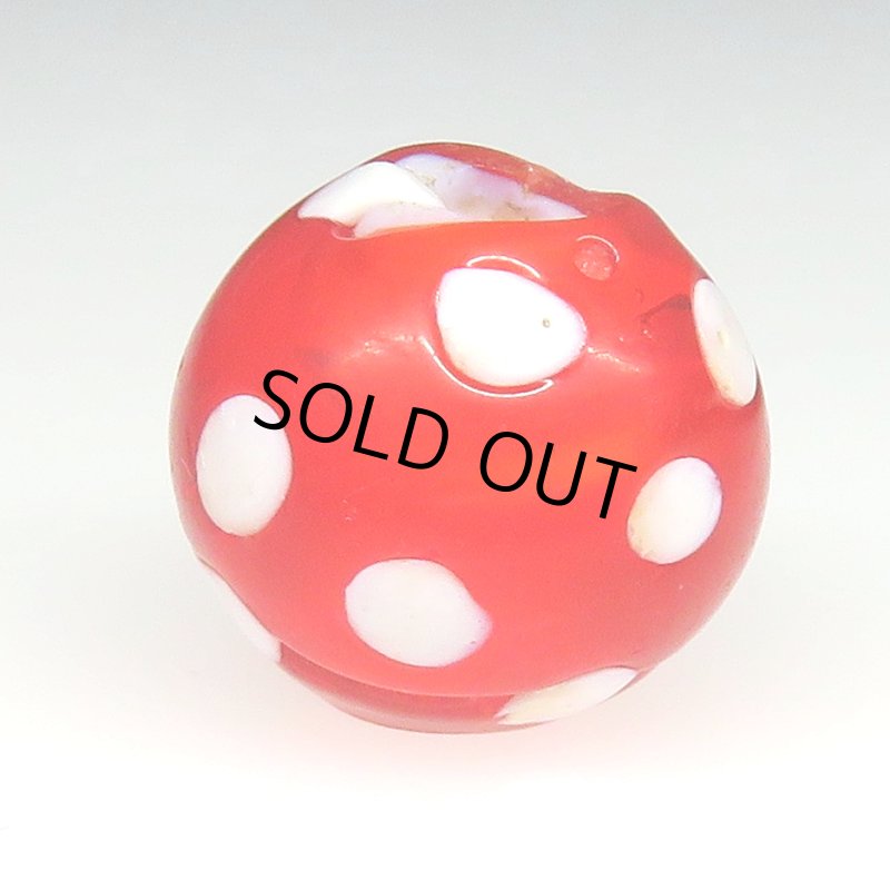 画像2: 美レッドスカンク (2)