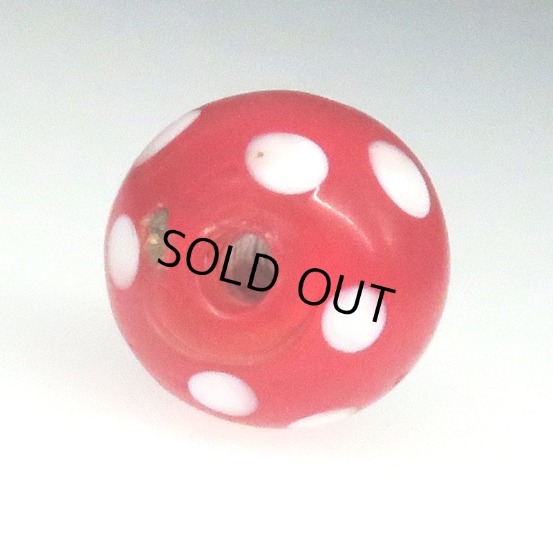 画像4: レッドスカンク (4)