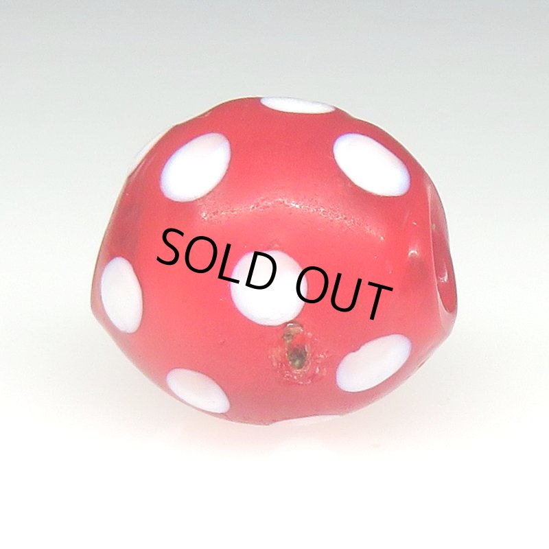 画像3: レッドスカンク (3)