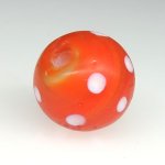 画像4: 美濃オレンジスカンク (4)