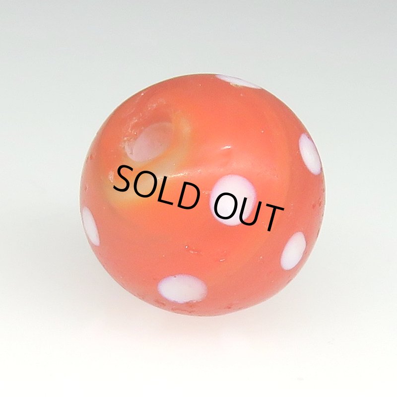 画像4: 美濃オレンジスカンク (4)