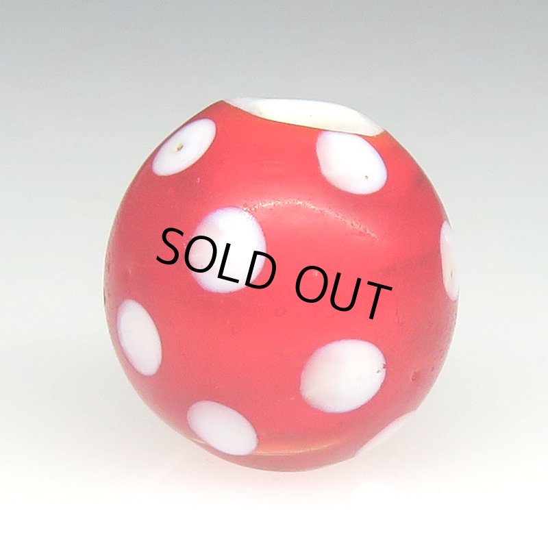 画像2: レッドスカンク (2)