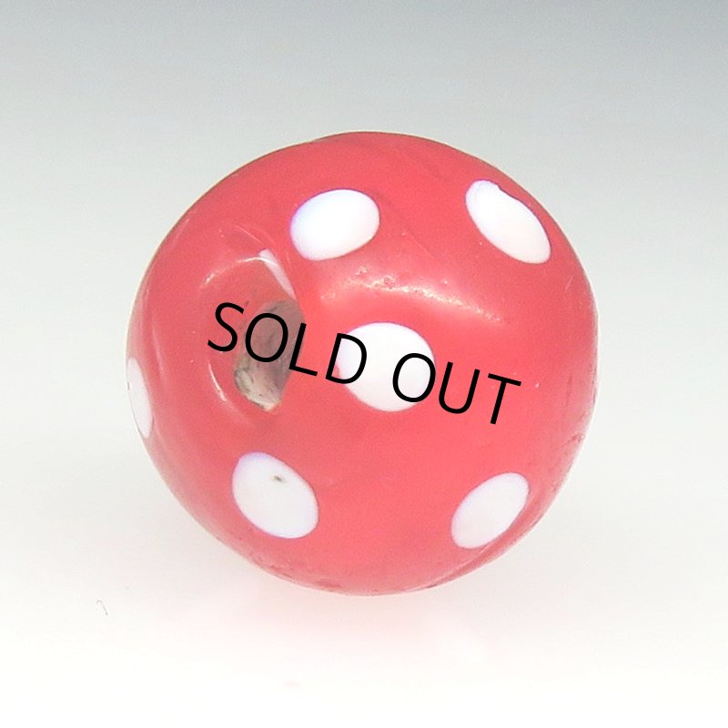 画像4: 美レッドスカンク (4)