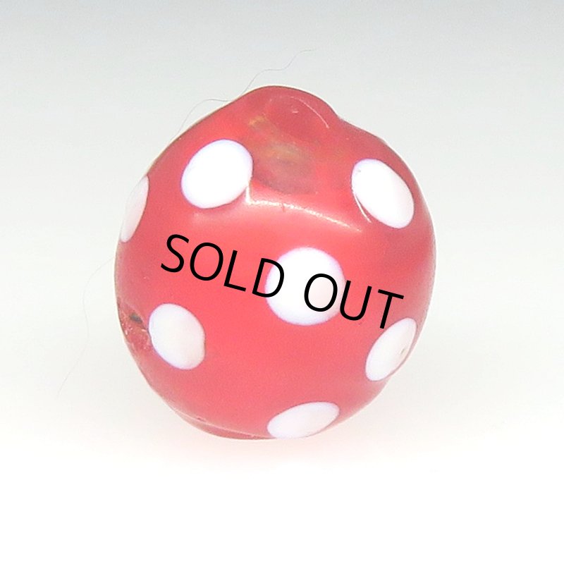 画像2: レッドスカンク (2)