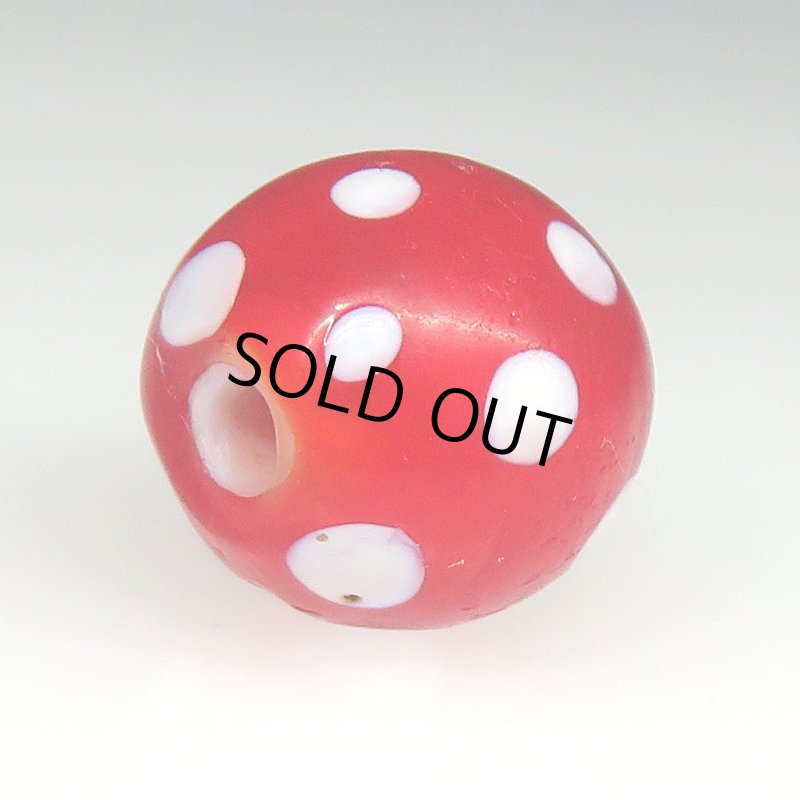 画像4: レッドスカンク (4)