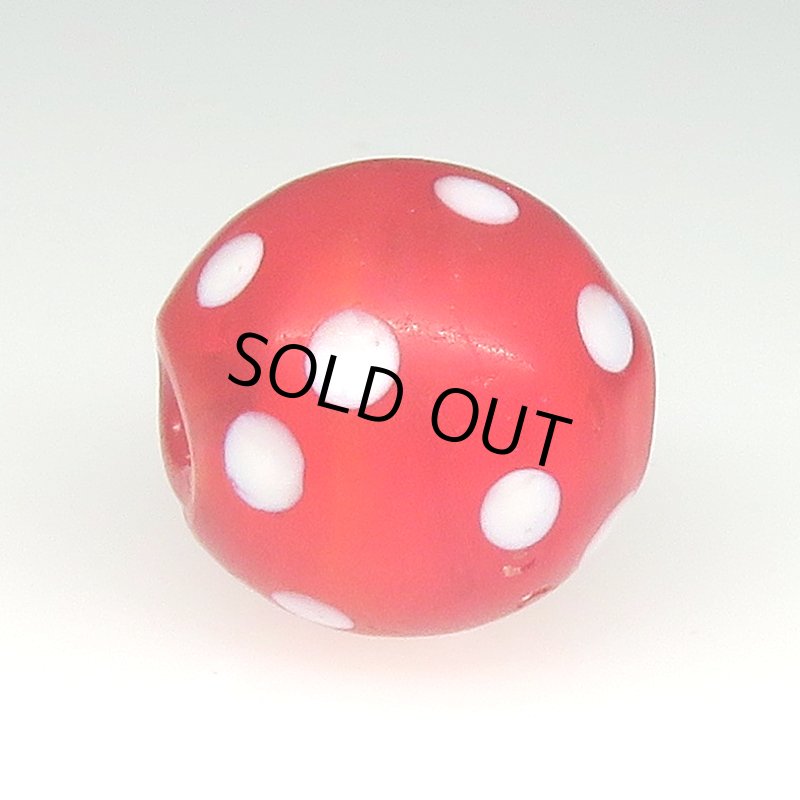 画像3: 美レッドスカンク (3)