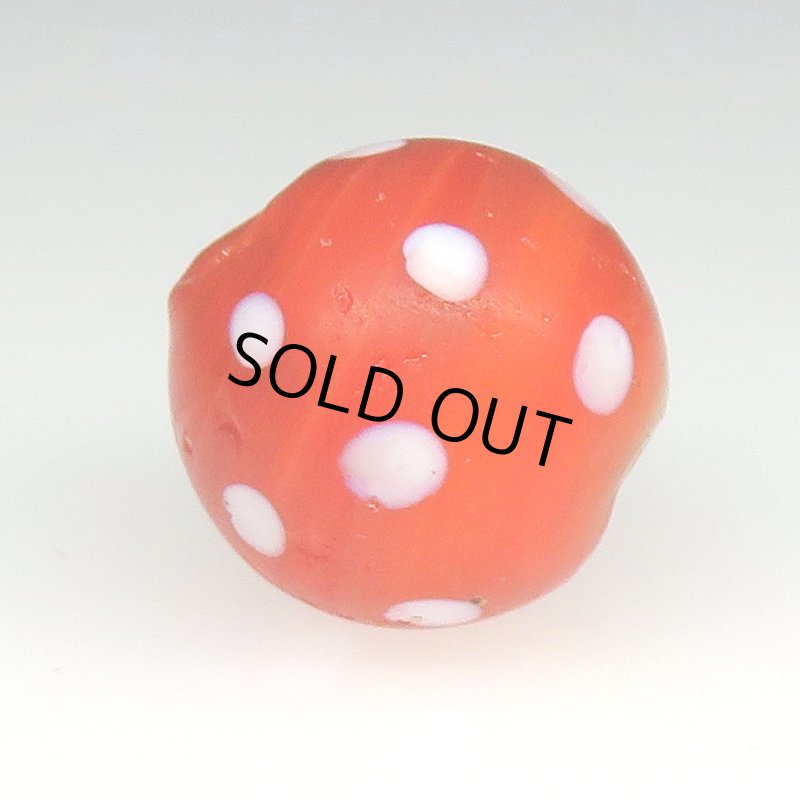 画像3: 美濃オレンジスカンク (3)