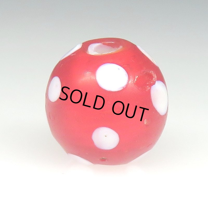 画像2: レッドスカンク (2)