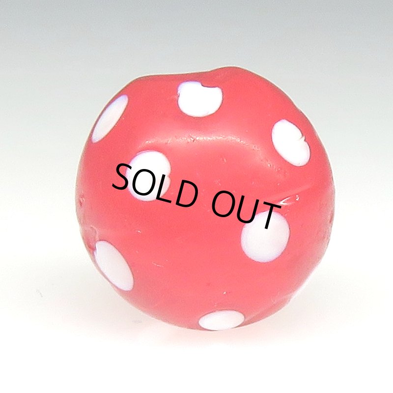 画像2: 美レッドスカンク (2)