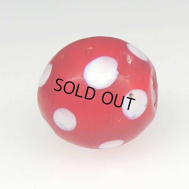 画像3: レッドスカンク (3)