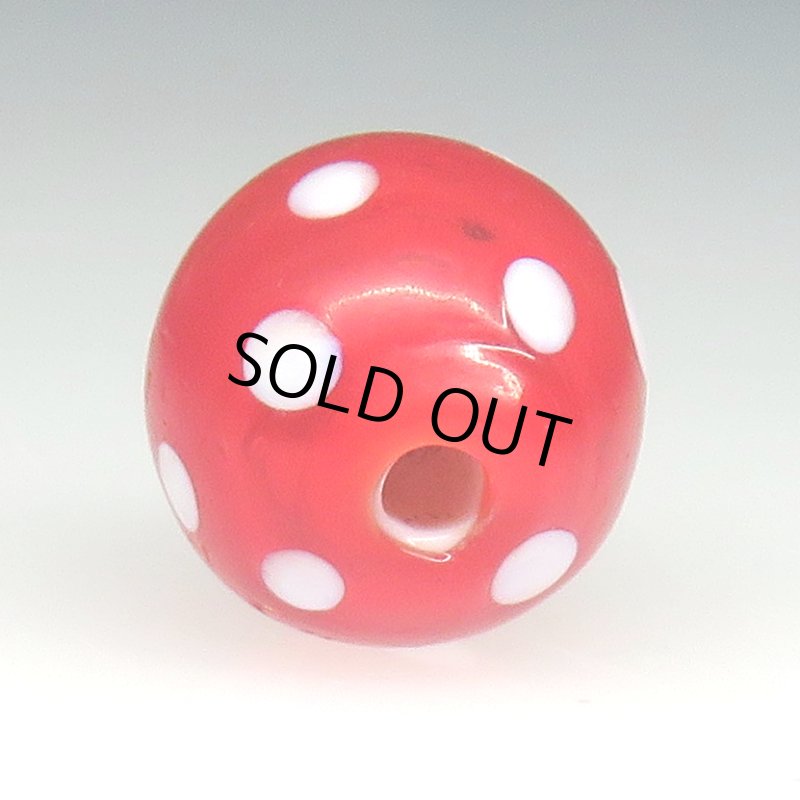 画像4: 美レッドスカンク (4)