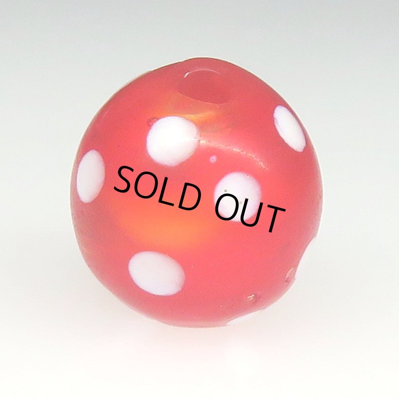 画像2: 美レッドスカンク (2)