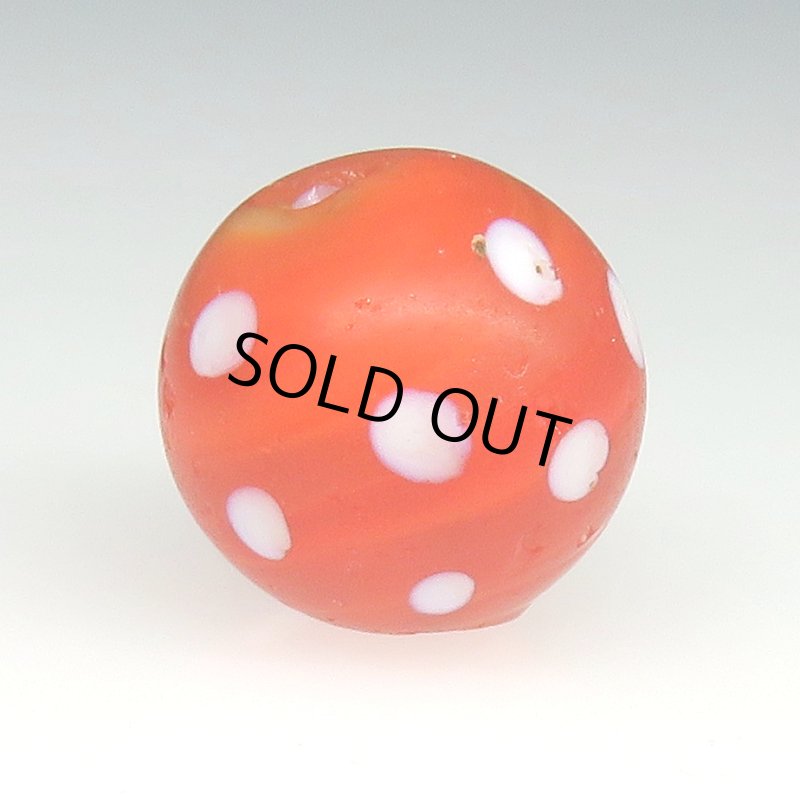 画像2: 美濃オレンジスカンク (2)