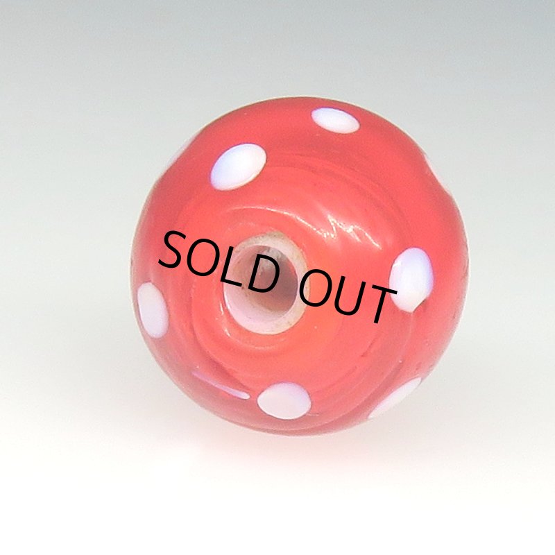 画像4: レッドスカンク (4)