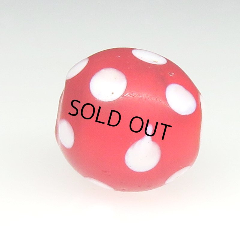 画像3: レッドスカンク (3)