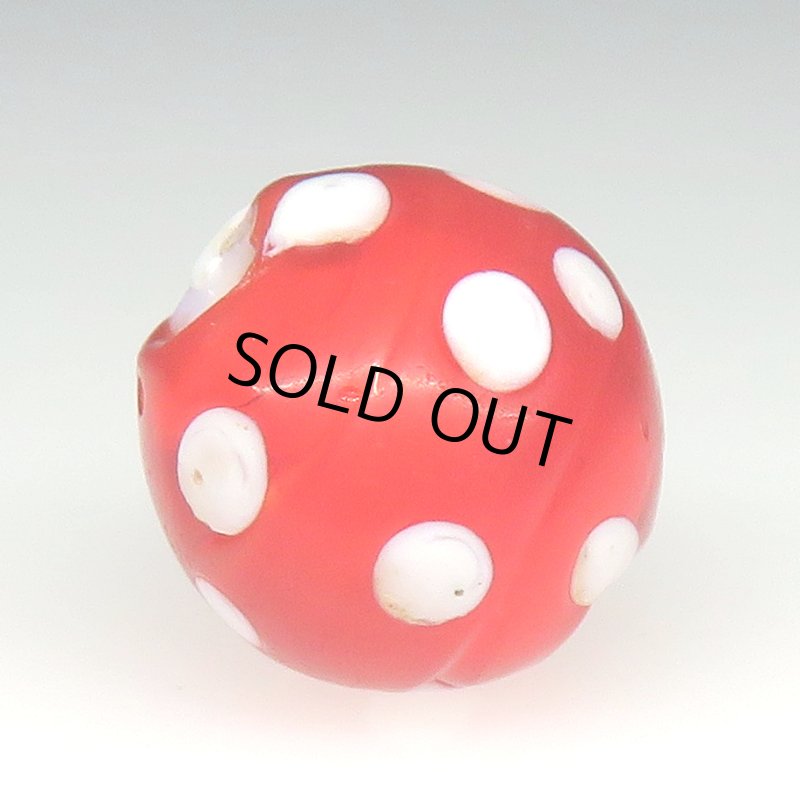 画像3: 美レッドスカンク (3)