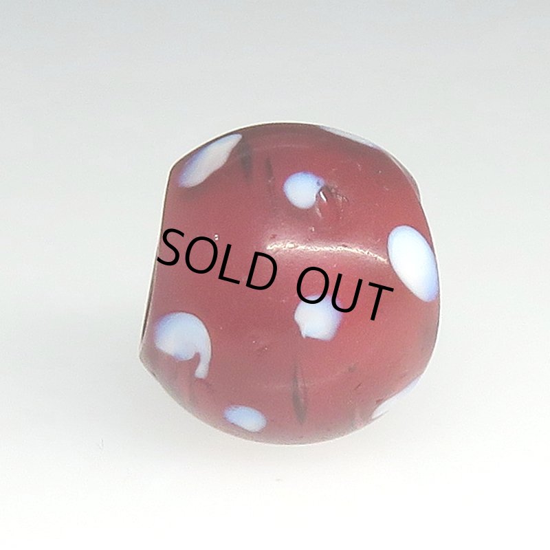 画像3: 美深い金赤のレッドスカンク (3)