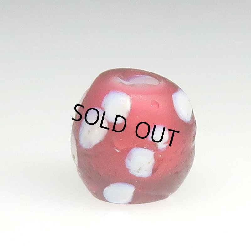 画像2: 美金赤のレッドスカンク (2)