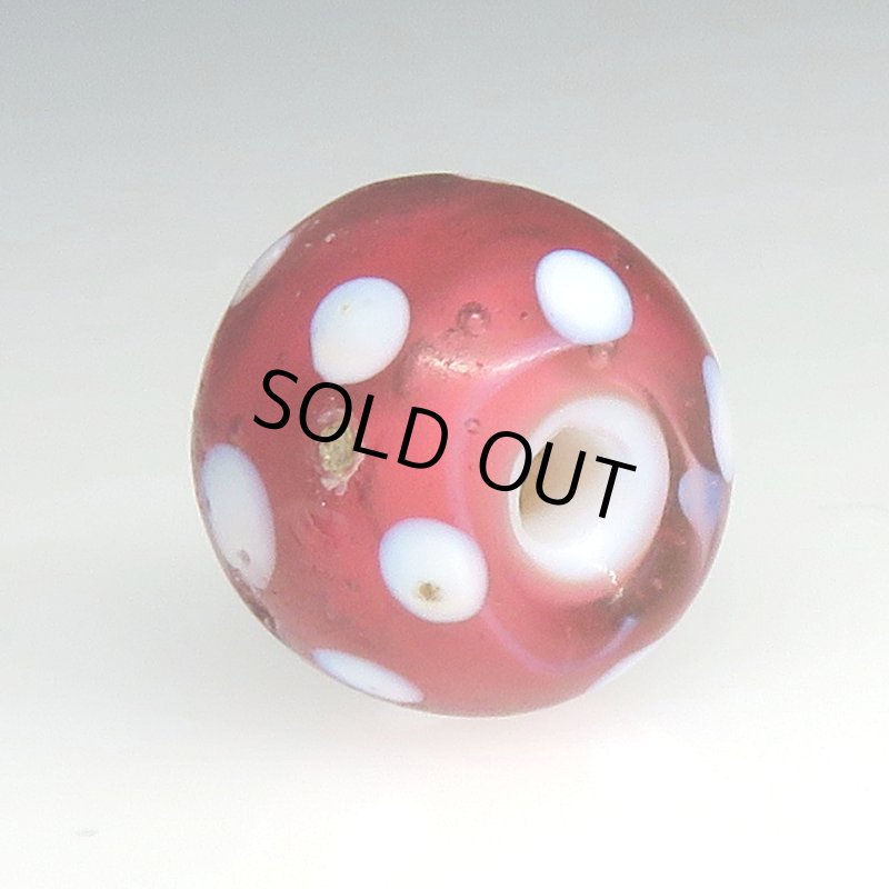 画像4: 金赤のレッドスカンク (4)