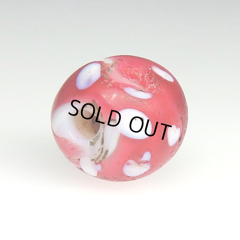 画像3: キャンディーのような金赤のレッドスカンク (3)