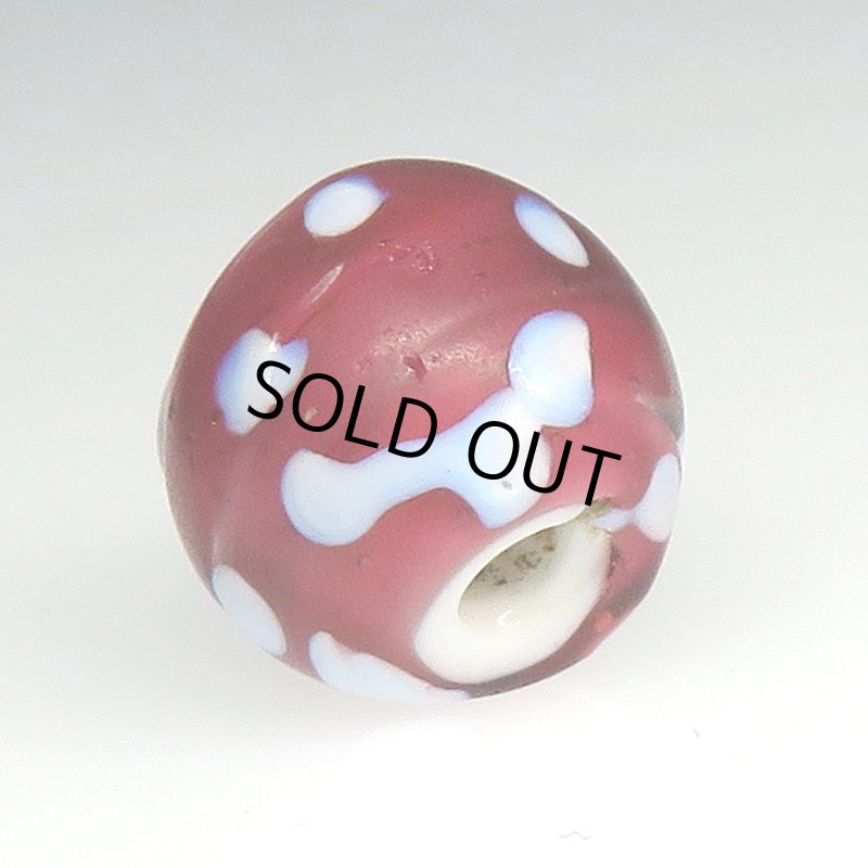 画像4: 金赤のレッドスカンク (4)