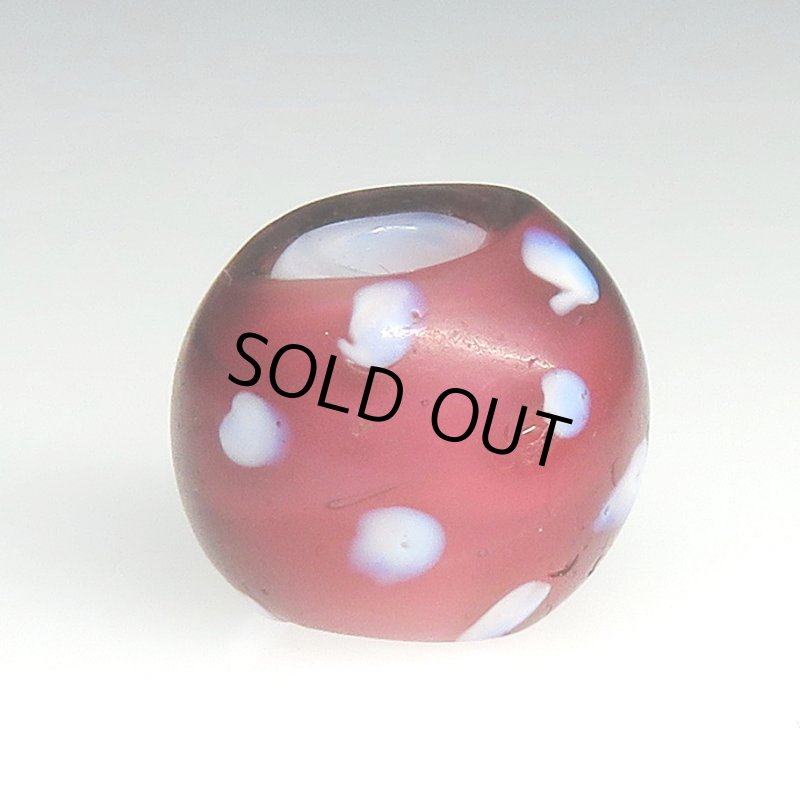 画像2: 美深い金赤のレッドスカンク (2)