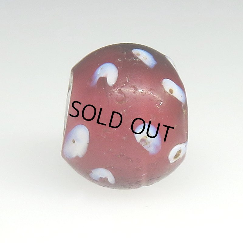 画像3: 深い金赤のレッドスカンク (3)