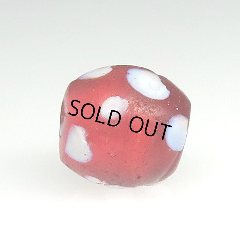 画像3: 美金赤のレッドスカンク (3)