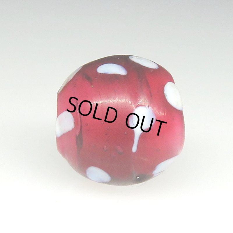 画像3: 美深い金赤のレッドスカンク (3)