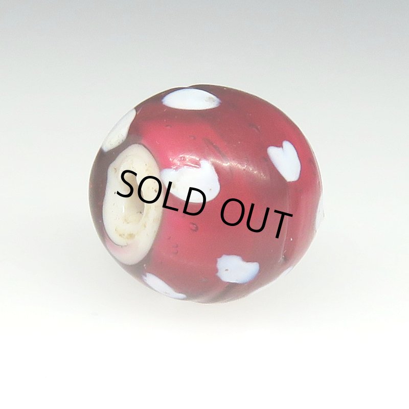 画像4: 美深い金赤のレッドスカンク (4)